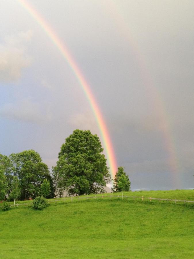 Ferienwohnung Heimatliebe Waltenhofen Bagian luar foto