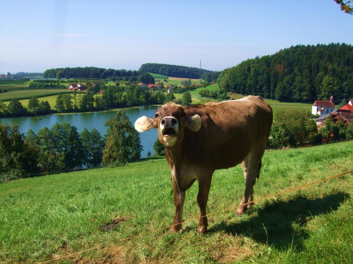 Ferienwohnung Heimatliebe Waltenhofen Bagian luar foto